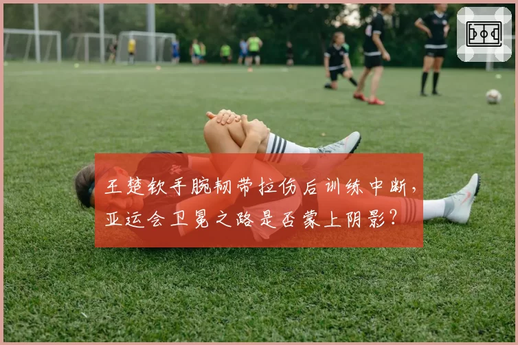 王楚钦手腕韧带拉伤后训练中断，亚运会卫冕之路是否蒙上阴影？
