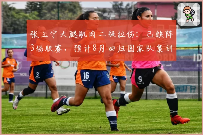 张玉宁大腿肌肉二级拉伤：已缺阵3场联赛，预计8月回归国家队集训