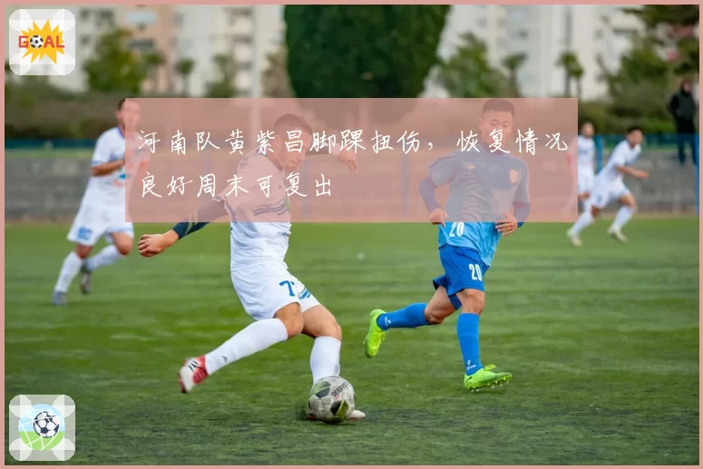 河南队黄紫昌脚踝扭伤，恢复情况良好周末可复出