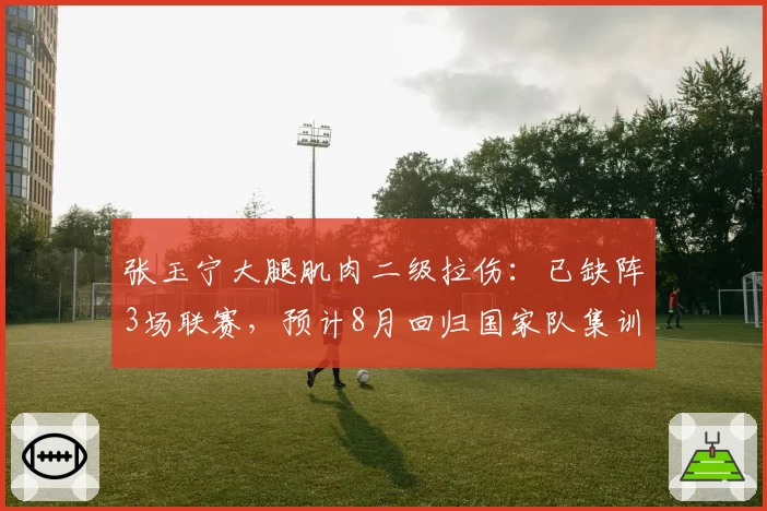 张玉宁大腿肌肉二级拉伤：已缺阵3场联赛，预计8月回归国家队集训