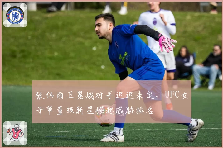 张伟丽卫冕战对手迟迟未定，UFC女子草量级新星崛起威胁排名