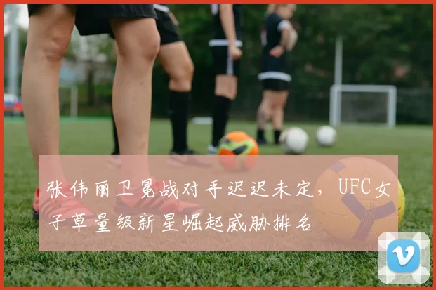 张伟丽卫冕战对手迟迟未定，UFC女子草量级新星崛起威胁排名