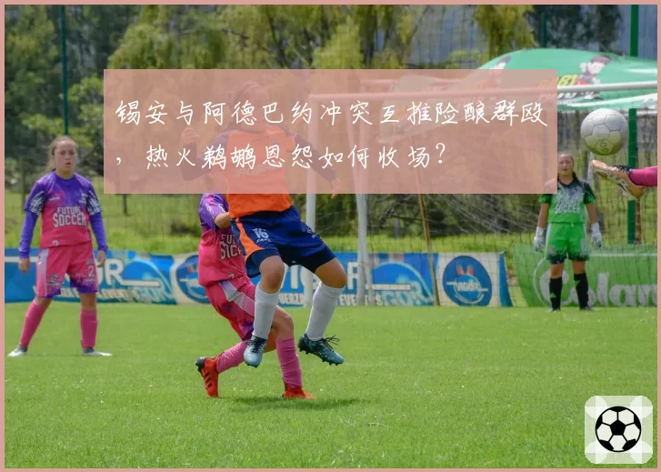 锡安与阿德巴约冲突互推险酿群殴，热火鹈鹕恩怨如何收场？
