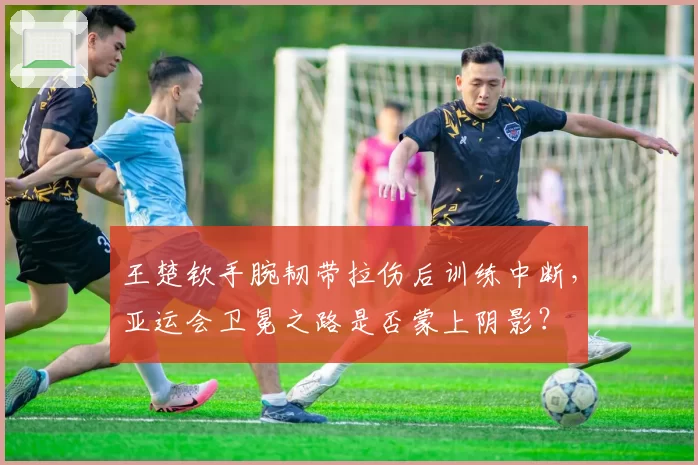 王楚钦手腕韧带拉伤后训练中断，亚运会卫冕之路是否蒙上阴影？